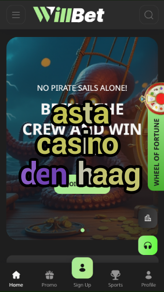 asta casino den haag-asdasdzhjkds.com